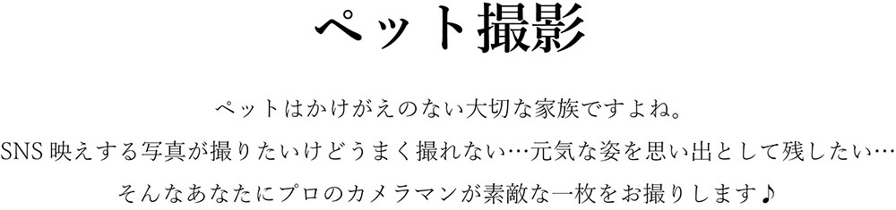 Withペット撮影