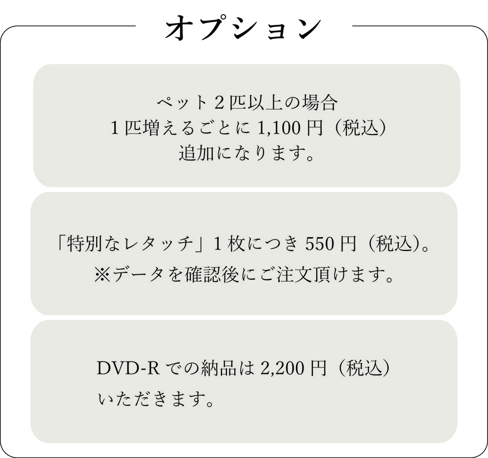 Withペット撮影