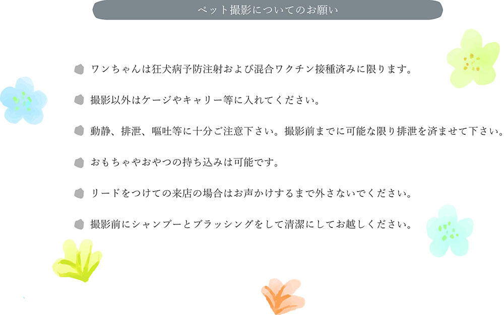 Withペット撮影