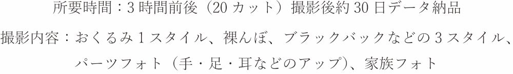 ニューボーンフォト