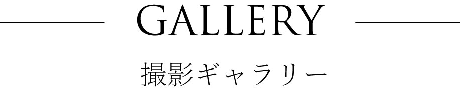ベビーペイント